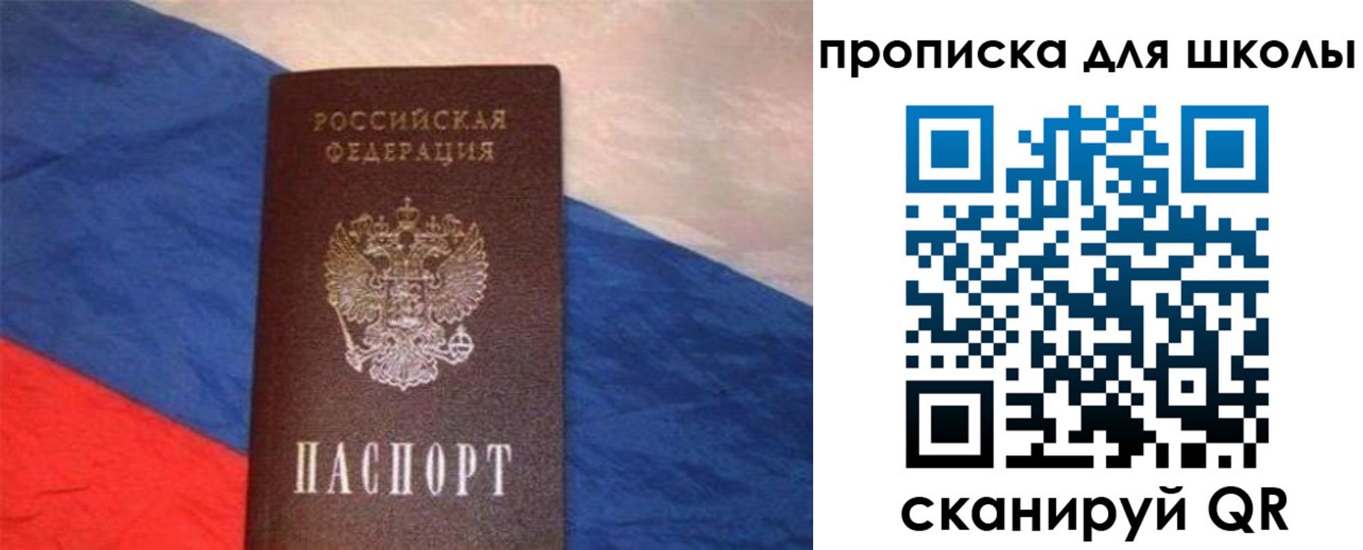 прописка поиск в Фрязино